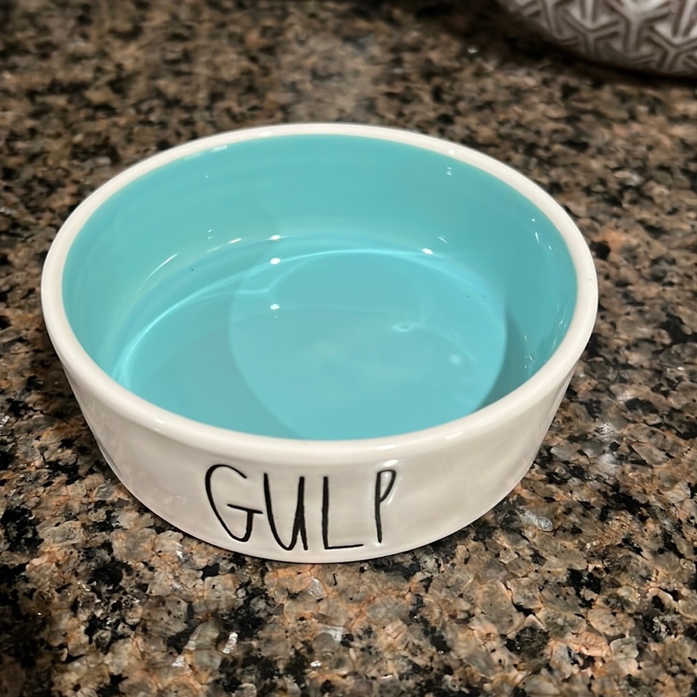 Rae Dunn Ivory GULP Artisan Collection Small Pet Water‎ Food Bowl